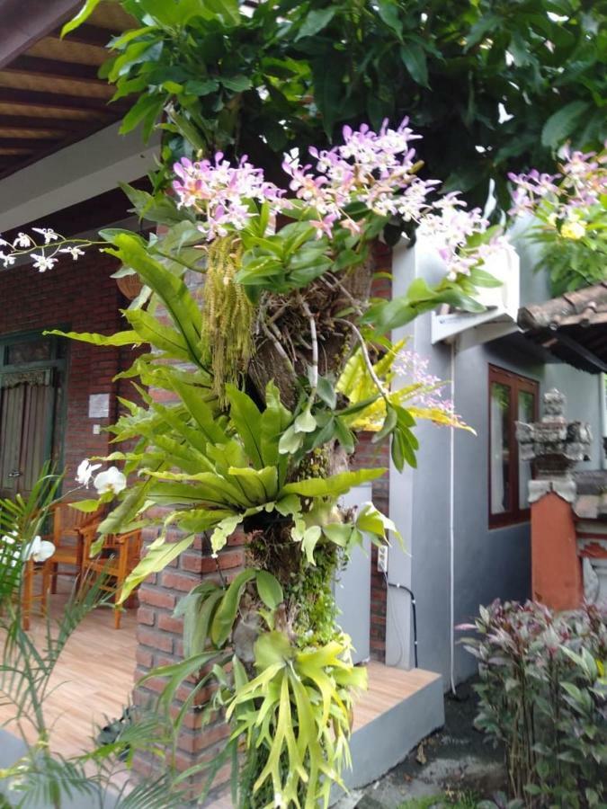 Twins Homestay Canggu Kültér fotó